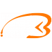 logo BIOSENS NUMERIQUE